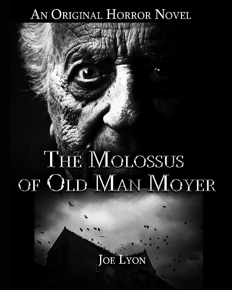 astarsblade's tweet photo. You won’t want to miss this original horror novel by award winning author Joe Lyon -Coming Summer 2023 https://t.co/GigSInXoqo
