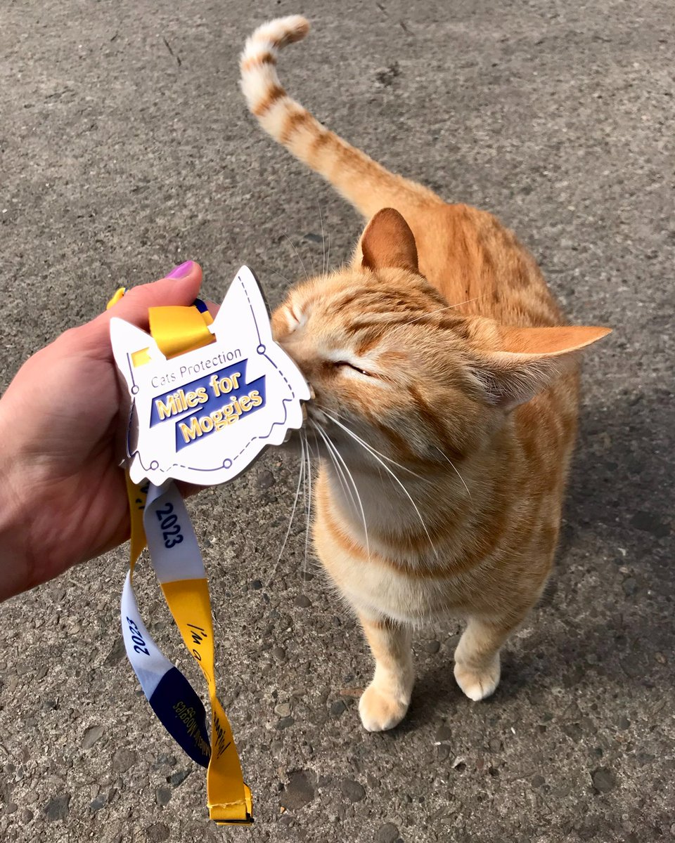 What would you do for unwanted moggies? 😿 Take on our #MilesForMoggies running challenge and you’ll make a difference just by taking part. Pick a distance, plan your route, complete it in May, and get an awesome medal! 🏅😺 Sign up now: spr.ly/TMilesForMoggi…