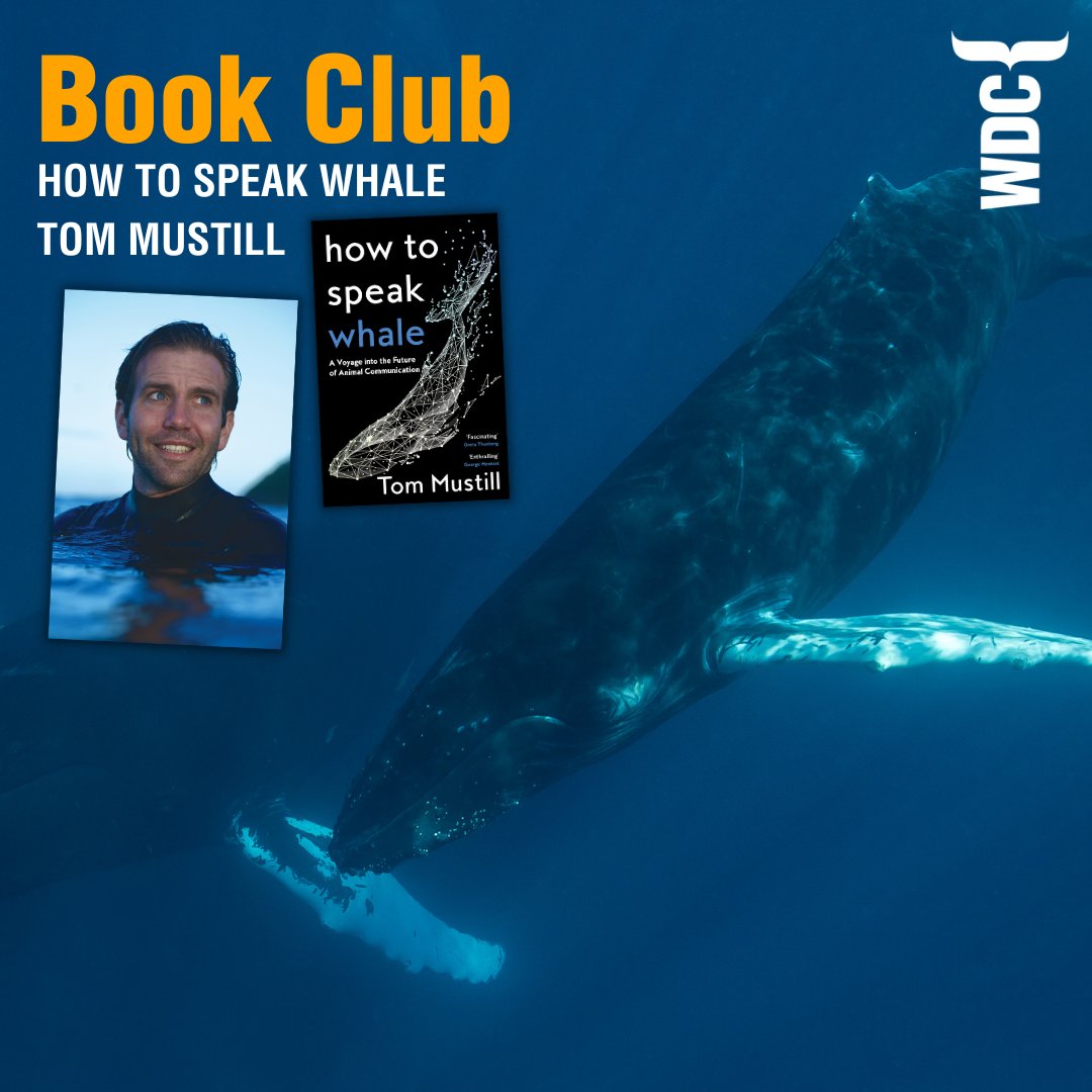 How to Speak Whale