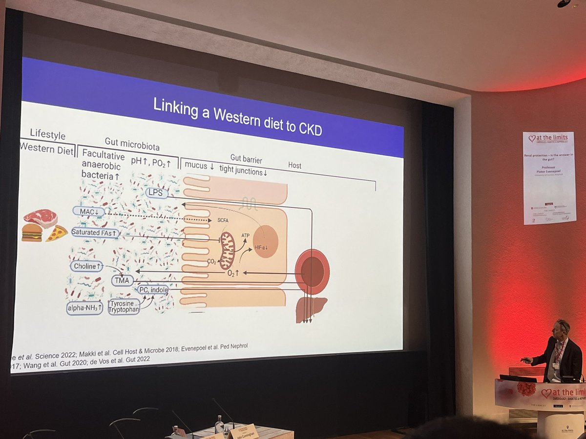 drmeallan's tweet photo. Go with your gut: @EvenepoelPieter discussing how the mismatch between our #diet and #microbiome promotes inflammation and a vicious feedback loop with #CKD - and how we might be able to drug the bug to improve outcomes. #CDNATL23 https://t.co/Jf6PSQICf0