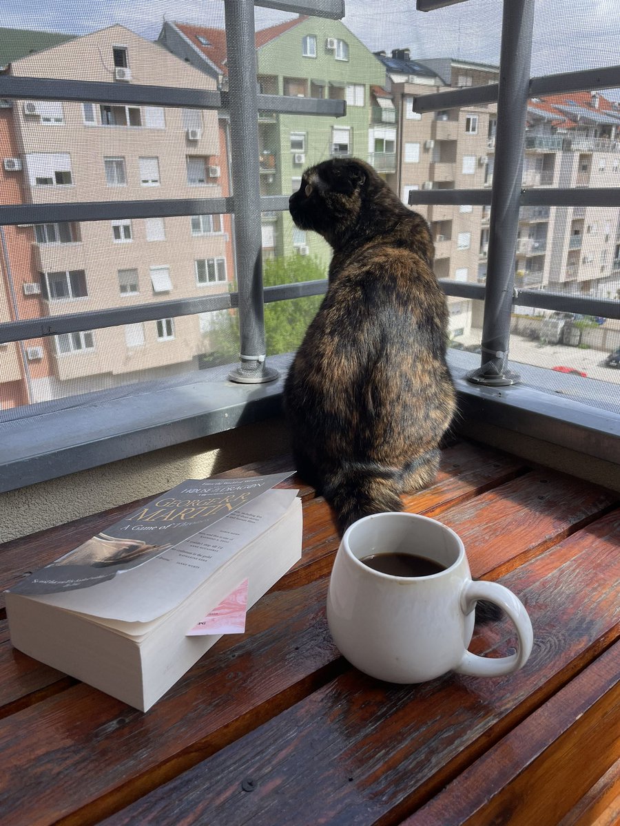 Cats for GM