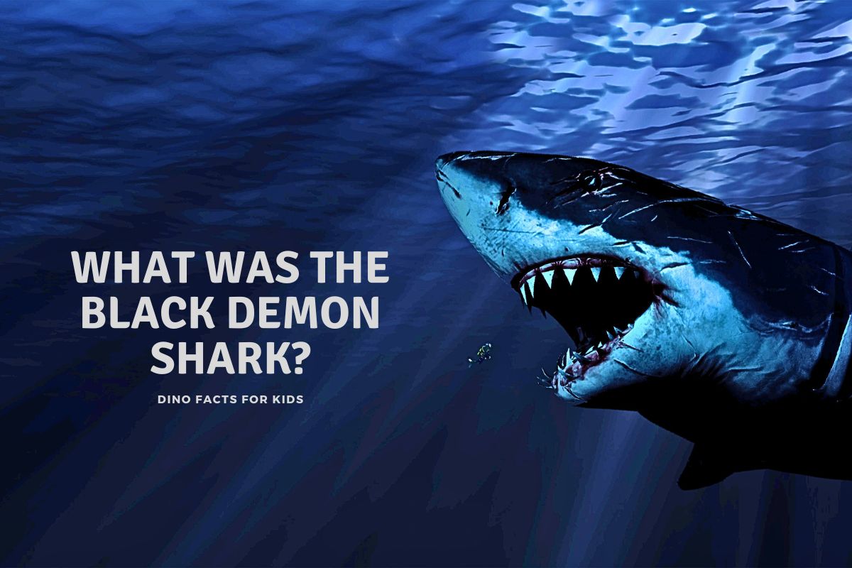 icklehobo's tweet photo. The black demon shark movie is out soon, we answer all your questions about what it was here.
https://t.co/knTrsNhPz3

#demonshark #blackdemonshark #TheMeg #megalodon #mexicoshark https://t.co/Am4k1MsCIa