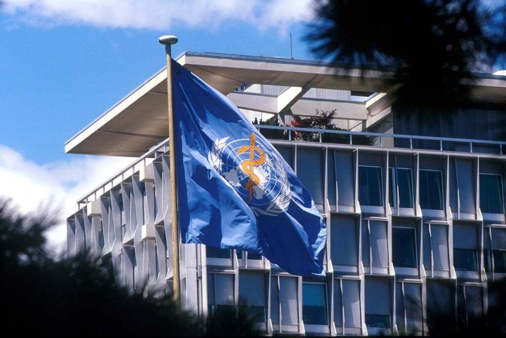 DayanClub's tweet photo. News from the WHO: Key leadership appointments made to drive WHO strategic direction and initiatives https://t.co/1sXaMLIjJd https://t.co/tG5kJdtuiK