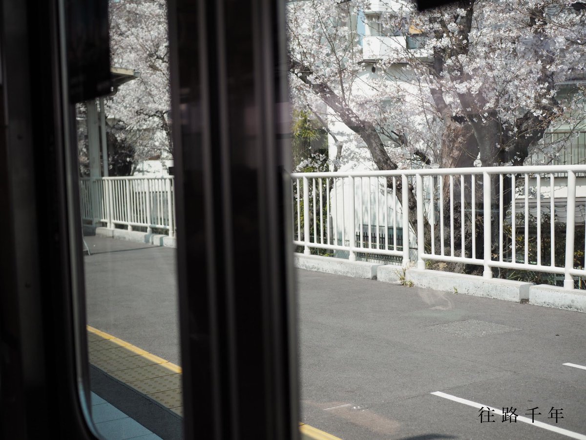 tokoshienoato's tweet photo. #往路千年 という企画を再開いたします💐

コンポーザーがこれまで関わってきた大好きな方々に、"千年後も失いたくない、言葉や出来事"を伺ってきました。

よければみなさんの大切にしている気持ちも聞かせてください。 https://t.co/yIp4qhDVHN