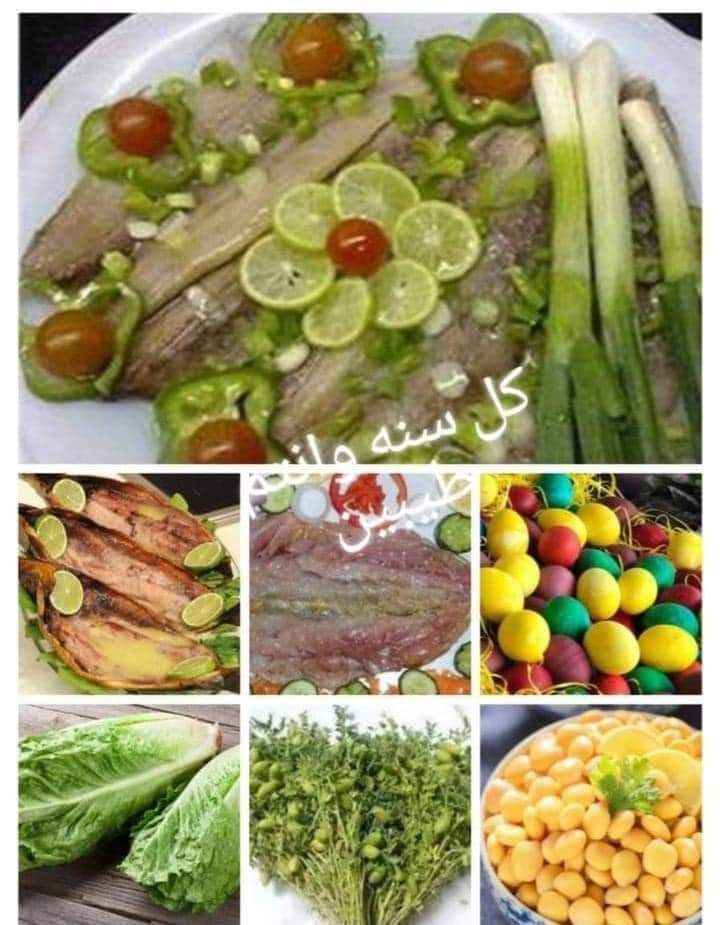 MeshilSaad's tweet photo. https://t.co/uIdAwPWXD0