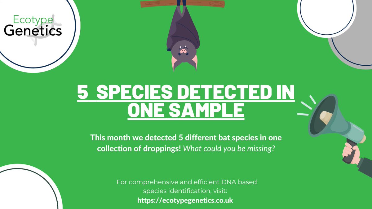 Our mixed species analysis can detect whether droppings from multiple #bat species are present in a sample, without having to analyse one dropping at a time - making it a more efficient, cost-effective and informative option compared to traditional DNA sequencing methods.🦇🙂