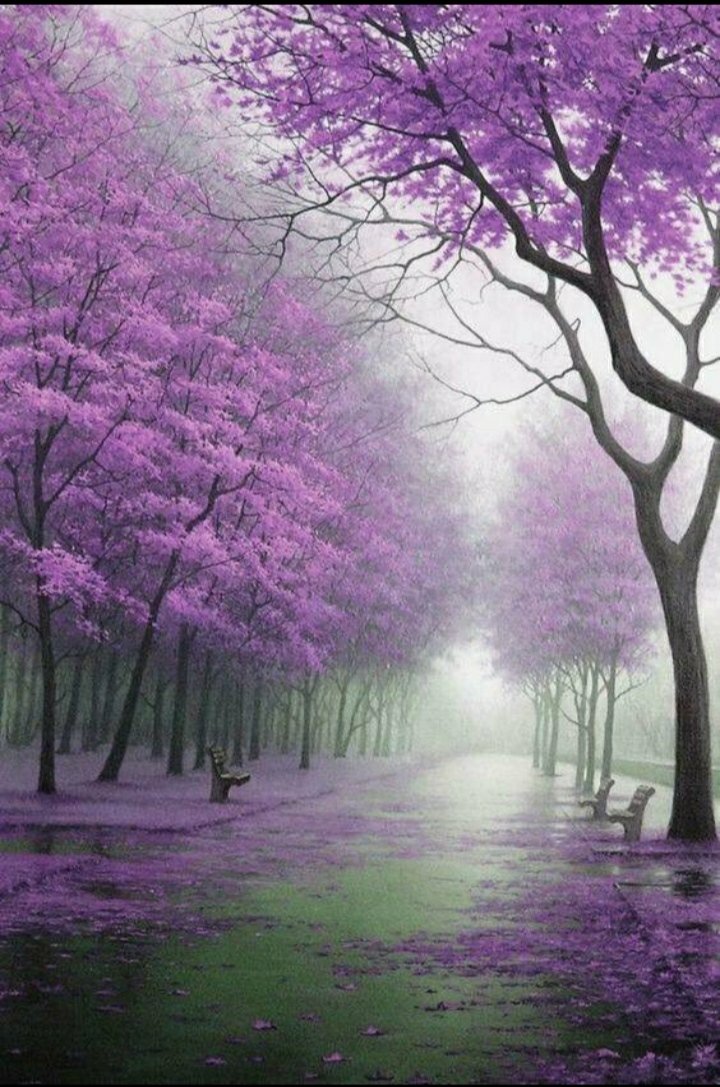 Good Morning❣️ Have a beautiful Monday.. 🌞💜💜