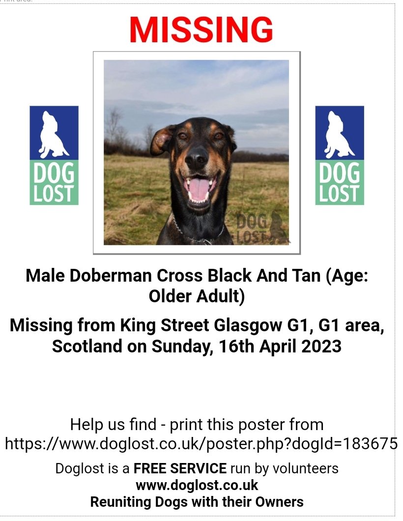 MissingPetsGB's tweet image. URGENT ⚠️
#STOLEN #DOBERMAN X taken outside @McDonaldsUK in King Street #Glasgow #G1 on April 16 2023
He is an older boy. Please contact asap with any information 🙏
doglost.co.uk/dog-blog.php?d…