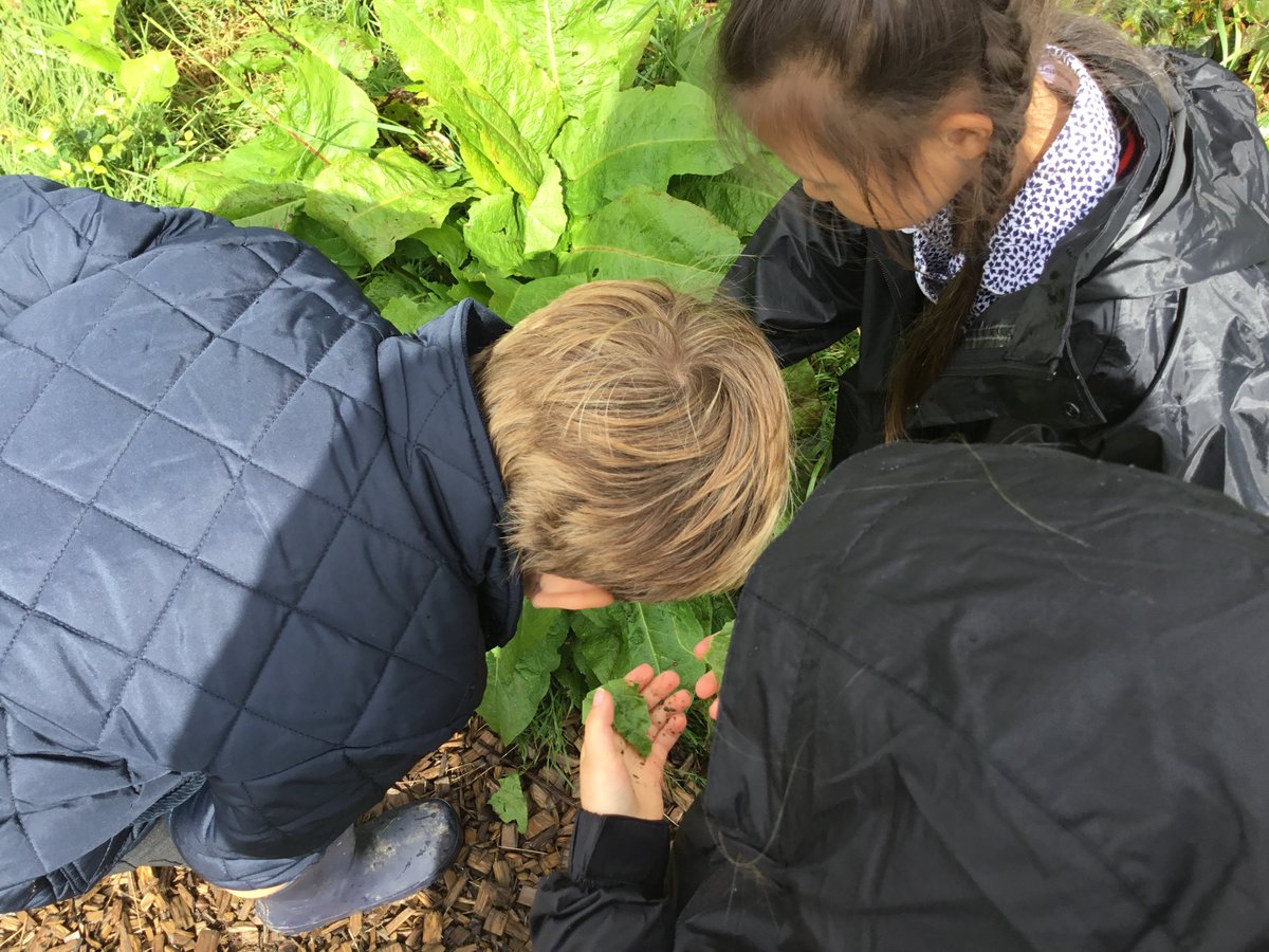 ShebbearCollege's tweet photo. Our #Reception children benefit from #smallclasssizes, individual care &amp; tailored learning, as well as specialist #teachers, fantastic facilities &amp; a lovely 85 acre campus to run around in! We still have Reception places available, find out more: https://t.co/fnrIa7jA5V #school https://t.co/1zqFv2I9VG