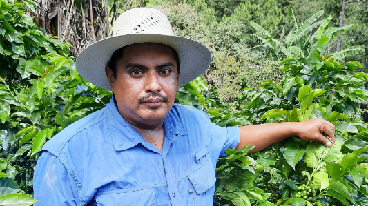 CondesaCoLab's tweet photo. Now that harvest season has finished in many Central and South American regions, you can catch details on fresh crops and track stock afloat via our Offerings Page.
#CondesaCoLab https://t.co/GPkXMRLEGl