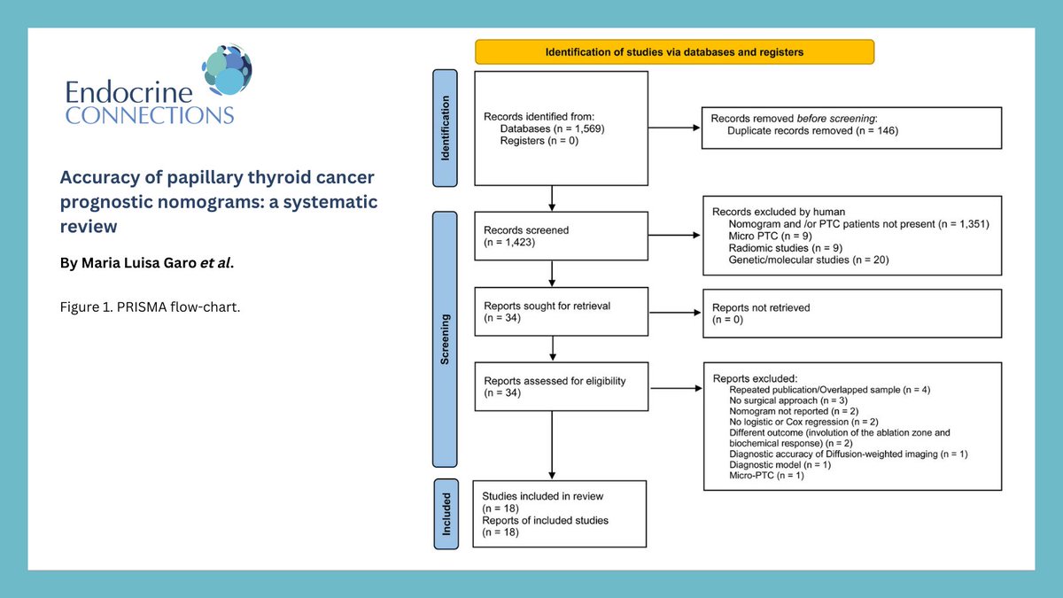 Endocrine Connections tweet media