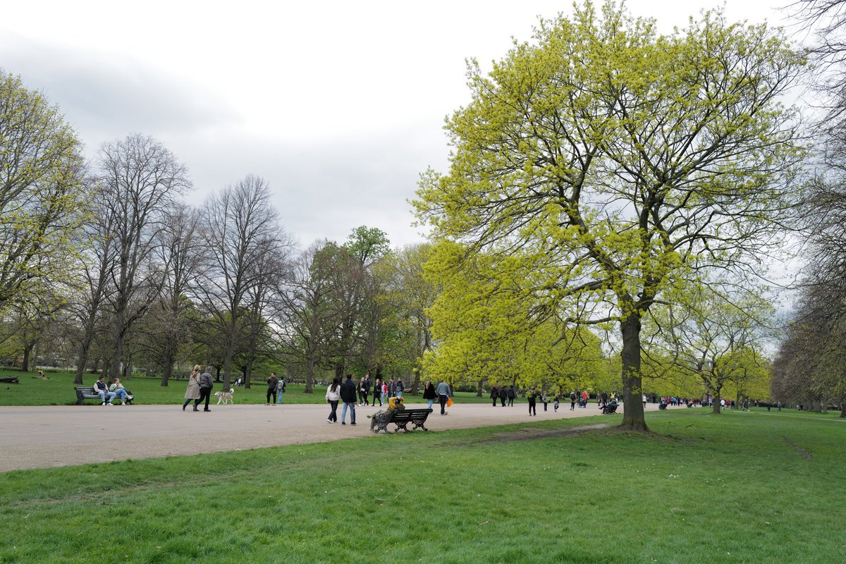 Spring has arrived at Kensington Palace and Kensington Gardens  

#theroyalparks #kensingtonpalace #leica #londonparks #hydeparklondon #springinlondon #bbcspringwatch
