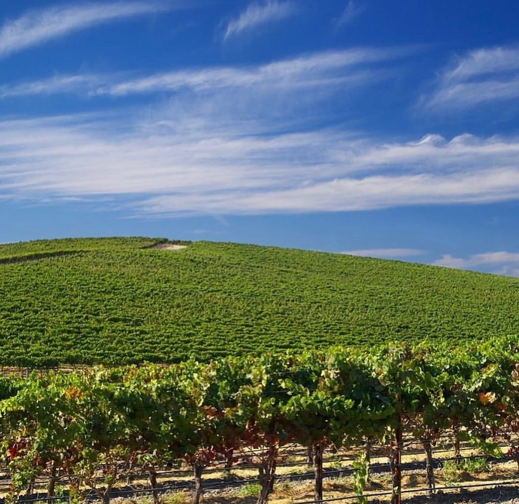 MesmerizeD_it's tweet image. This iconic image is arguably one of the most viewed photographs in the world. 
Image taken by photographer Charles O’Rear in Sonoma County, California in 1996. 

Visit: mesmerized.it

#masterdesigner #design #designmaster #designer