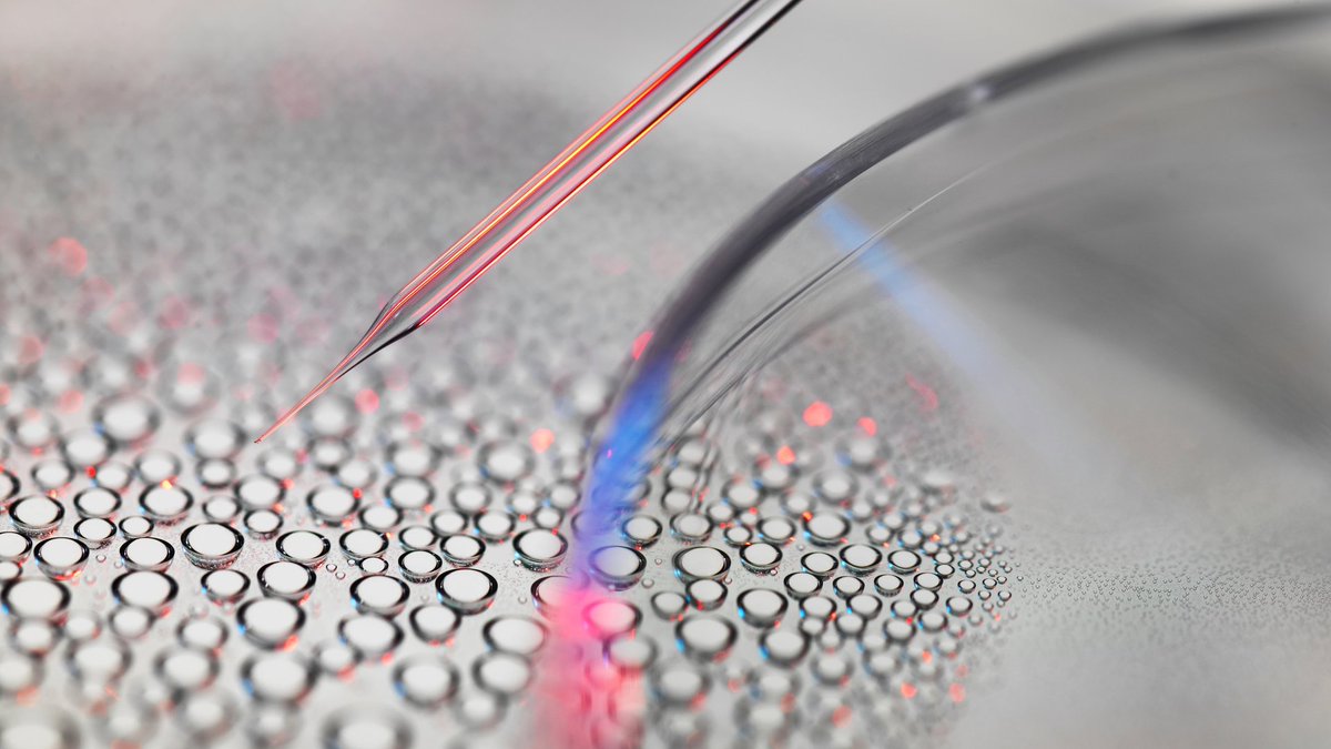 Frontiers in Genome Editing (@frontgenediting) on Twitter photo Ethics of genome editing technology in humans.
A new Research Topic led by Drs <a href="/RobRanisch/">@robranisch.bsky.social</a> <a href="/unipotsdam/">Universität Potsdam</a>, Ulrich Schneider, <a href="/jeannefrances/">Jeanne Loring 🧫🧠🦏🚀</a>, @cenglert_jena and Nikolaus Knoepffler <a href="/EthikJena/">Nikolaus Knoepffler</a> explores this and more.
Get involved and make your contribution: fro.ntiers.in/7j2Z Ethics of genome editing technology in humans.
A new Research Topic led by Drs <a href="/RobRanisch/">@robranisch.bsky.social</a> <a href="/unipotsdam/">Universität Potsdam</a>, Ulrich Schneider, <a href="/jeannefrances/">Jeanne Loring 🧫🧠🦏🚀</a>, @cenglert_jena and Nikolaus Knoepffler <a href="/EthikJena/">Nikolaus Knoepffler</a> explores this and more.
Get involved and make your contribution: fro.ntiers.in/7j2Z