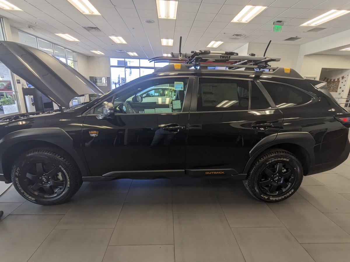 Bruce Shark tweet media