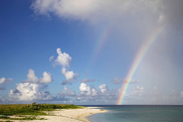 HssQmul's tweet photo. Does everybody see the same rainbow? What is common knowledge? Cite Them Right Online is a referencing tool which has the answer to questions like this.  Find out more via the Queen Mary Library Services' Referencing Hub: https://t.co/azenJTDpCS https://t.co/nRUudhAlJv