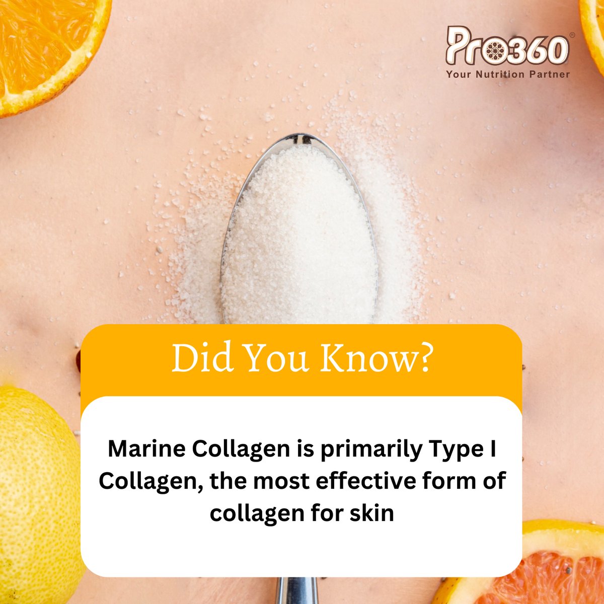 IndiaPro360's tweet image. Marine collagen is classified as being a type I collagen.

Type I collagen is the most abundant form of collagen in the body and is found in tendons, ligaments, skin, bones, teeth, hair and nails.

#marinecollagen #collagenpeptides #postworkoutrecovery #healthyskin #clearskin