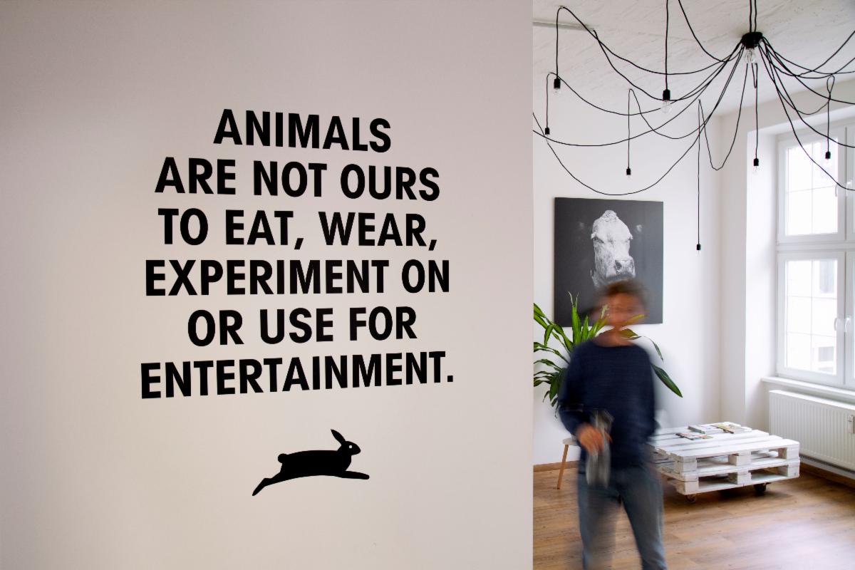 Celebrate with PETA. 🎈🐾 It’s the big 30th birthday for <a href="/peta/">PETA</a> Germany, and they are excitingly developing more programmes to end the abuse of animals forever. They looking for a Head of Major Gifts and Planned Giving to achieve their goals. Details:  bit.ly/41yXFzq