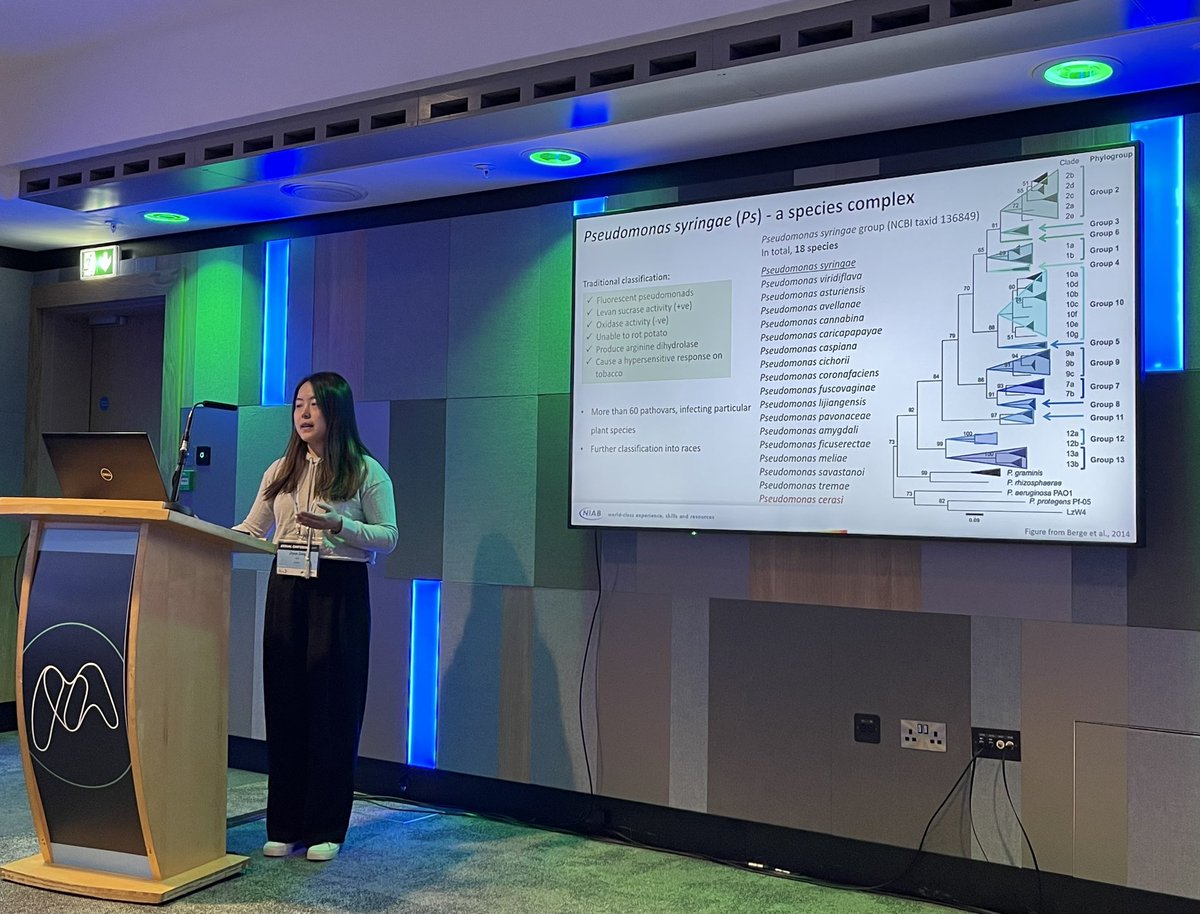 GetGenome (@getgenome) on Twitter photo Ziyue Zeng <a href="/ziyuezeng1/">ziyue zeng</a> <a href="/niabscience/">Niab Science</a> on the complexity of the Pseudomonas syringae species complex #microbio23 Ziyue Zeng <a href="/ziyuezeng1/">ziyue zeng</a> <a href="/niabscience/">Niab Science</a> on the complexity of the Pseudomonas syringae species complex #microbio23