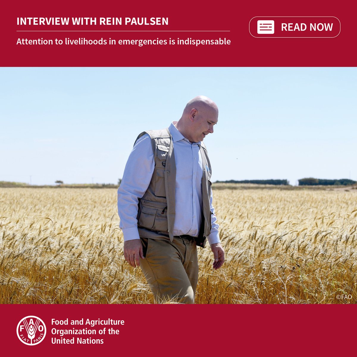 FAO in Emergencies tweet media