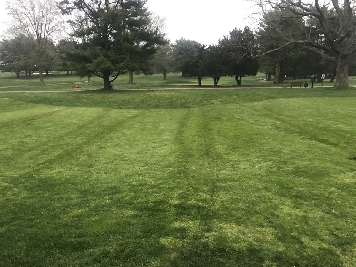 Toast210 tweet media