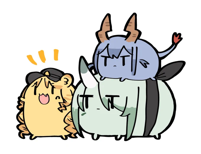 色んな豆 
