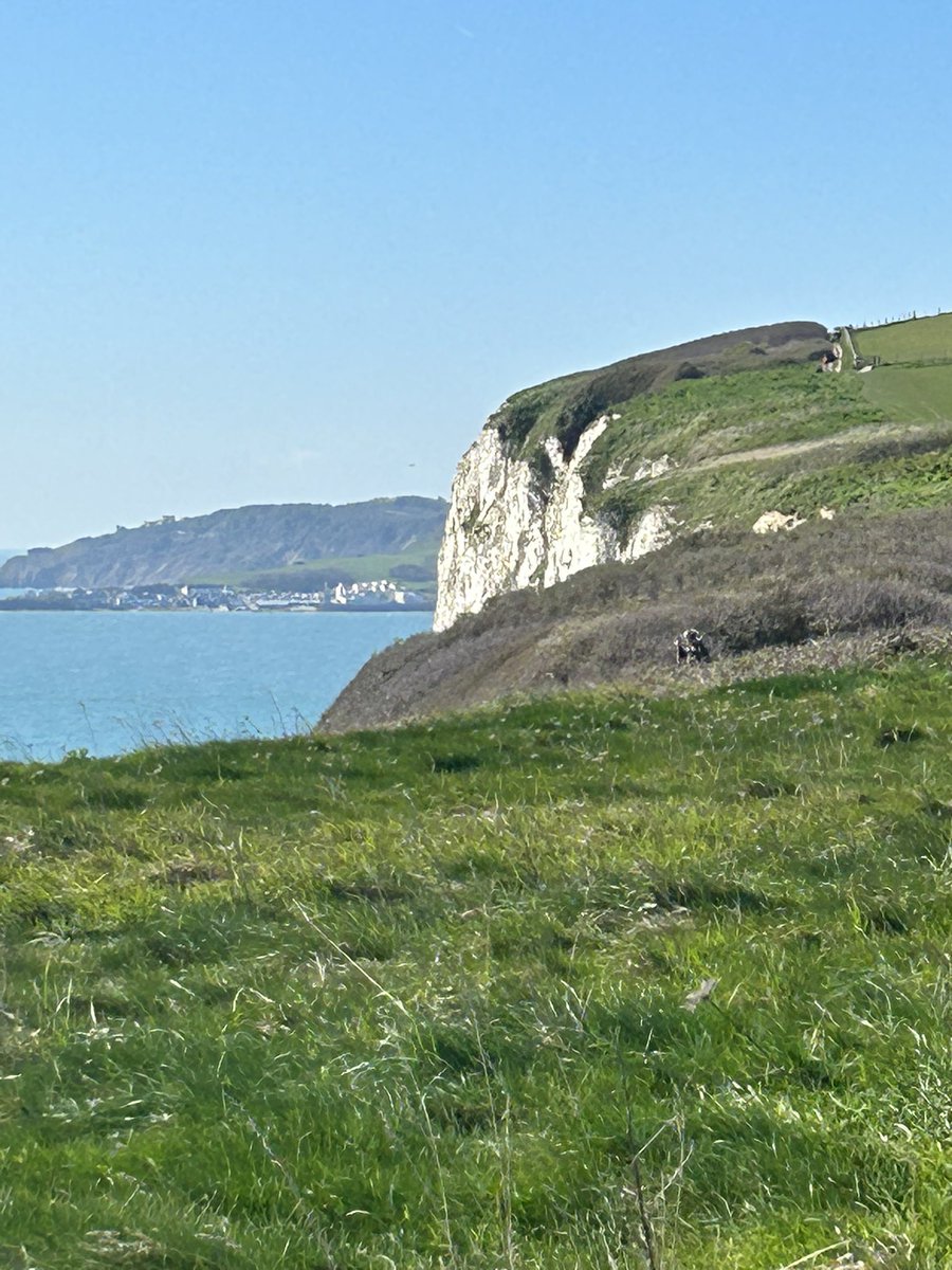 Dr Emma Wadey Ph.D FQNI FAAN RN (MH) tweet media