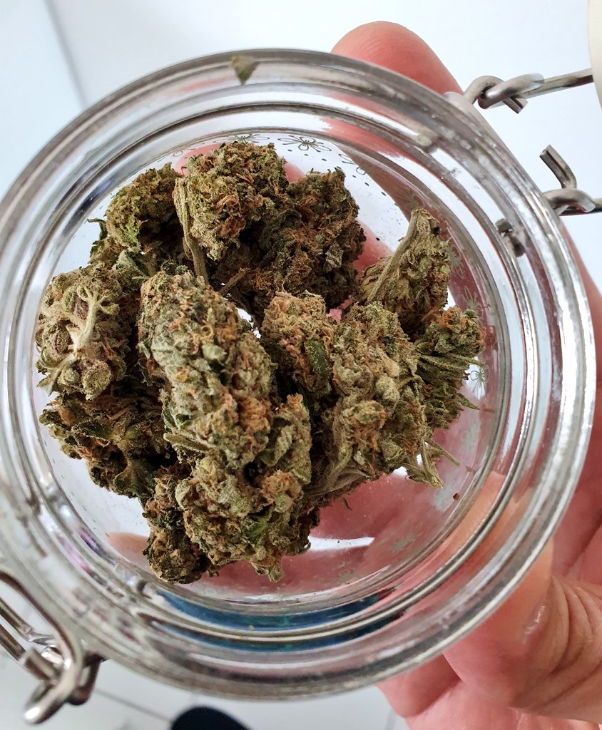 Docteurgang34's tweet photo. Mangue + weed = Journée DETENDUE https://t.co/GUaCoMX0UI