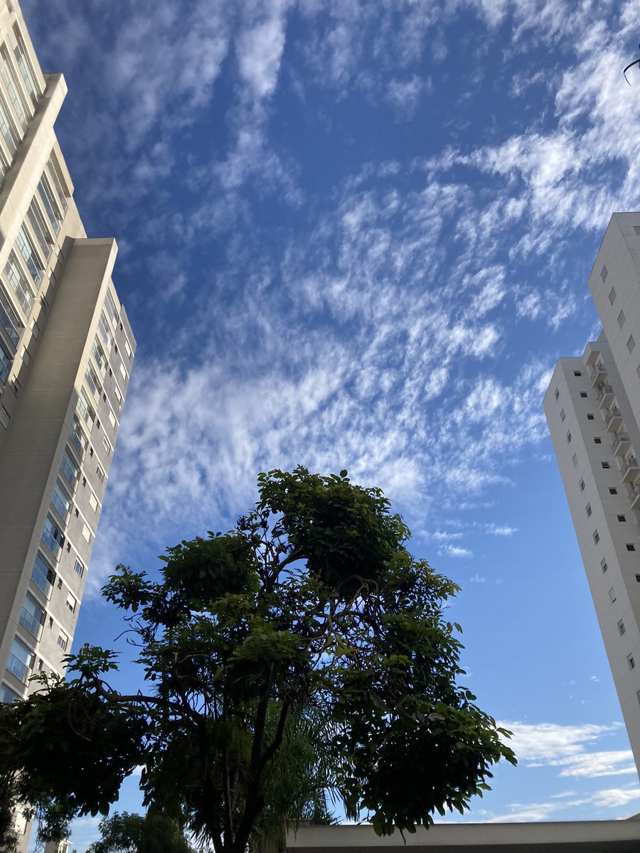 olizeomp's tweet image. “Olho pro passado pra não errar no presente , Todo dia uma nova aprovação me vem , hoje mais maduro vigio pra não cair..”🙏🏽🙌🏽☝🏽🚀🔥