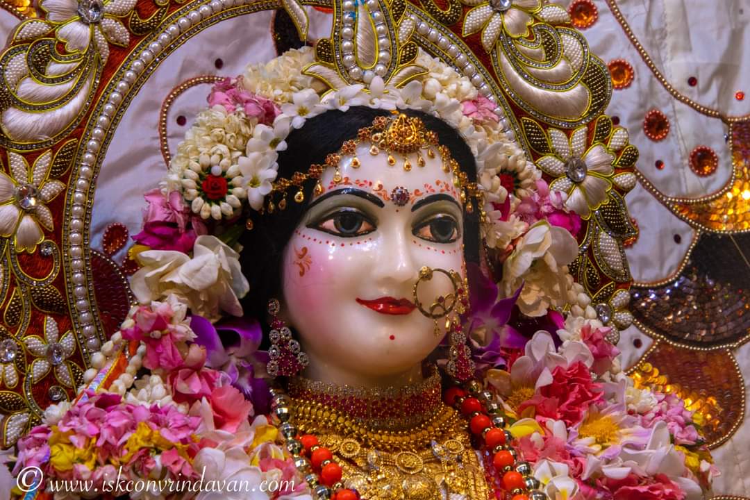 theholy_monk's tweet image. Radhe Radhe 🧘🙏🏾🛕📿🥀🌸