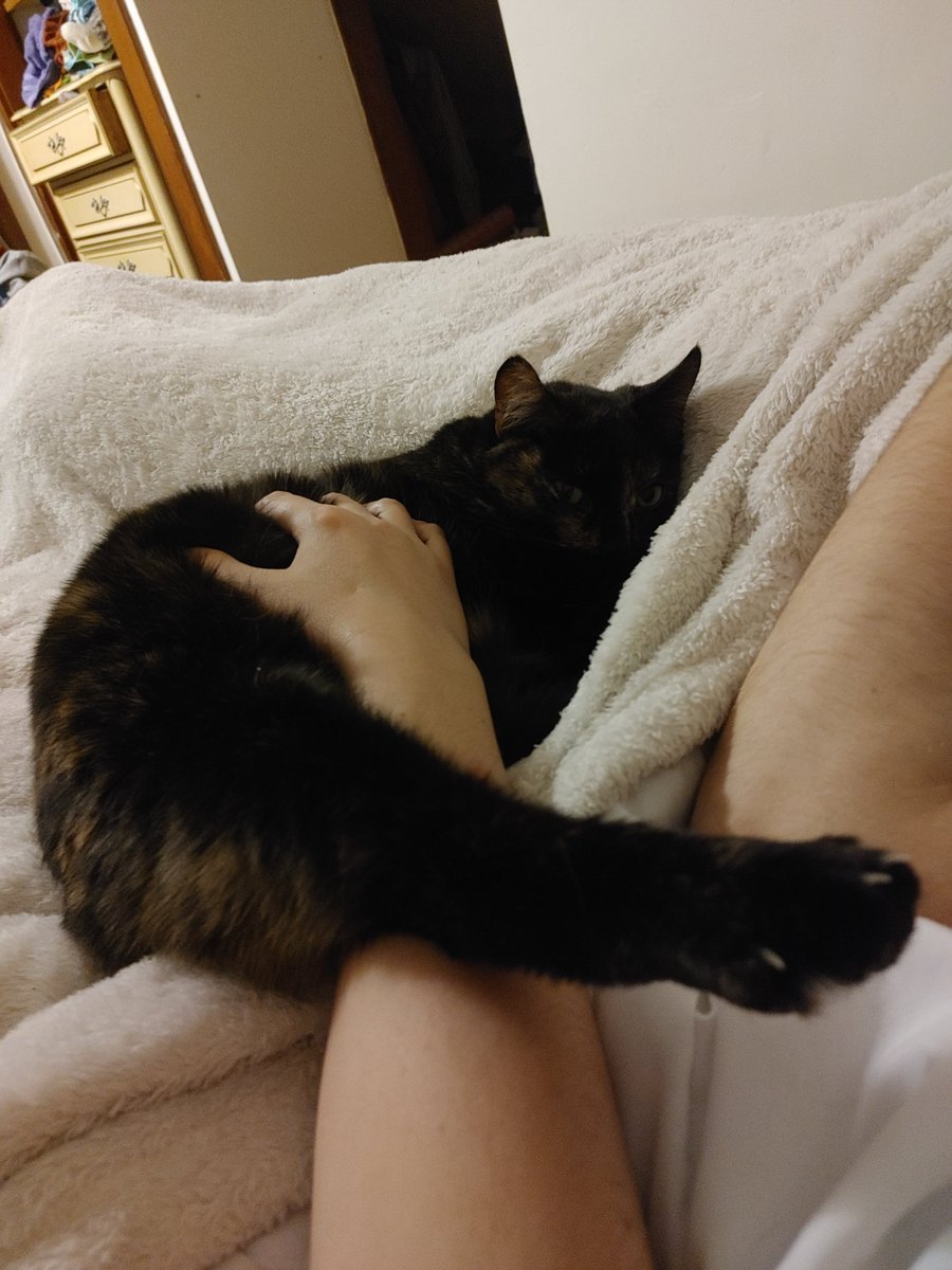 Any excuse to share my fur babies :)