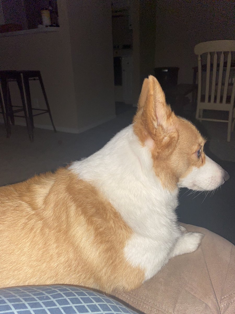 Good morning, look at her lil peets