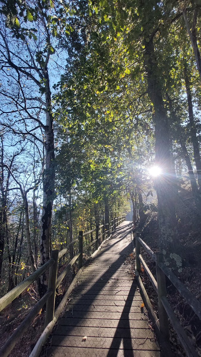 asturviajeros's tweet photo. En el precioso pueblo de #Campiellos concejo de #Sobrescobio enclavado en el #ParqueNaturaldeRedes se encuentra el #CaminDelRebollal, un sendero totalmente adaptado para todos los públicos ♿️ con vistas increíbles al embalse de #Rioseco @TurismoAsturias @REDES_RBiosfera @spain https://t.co/wIVOQzh0gW