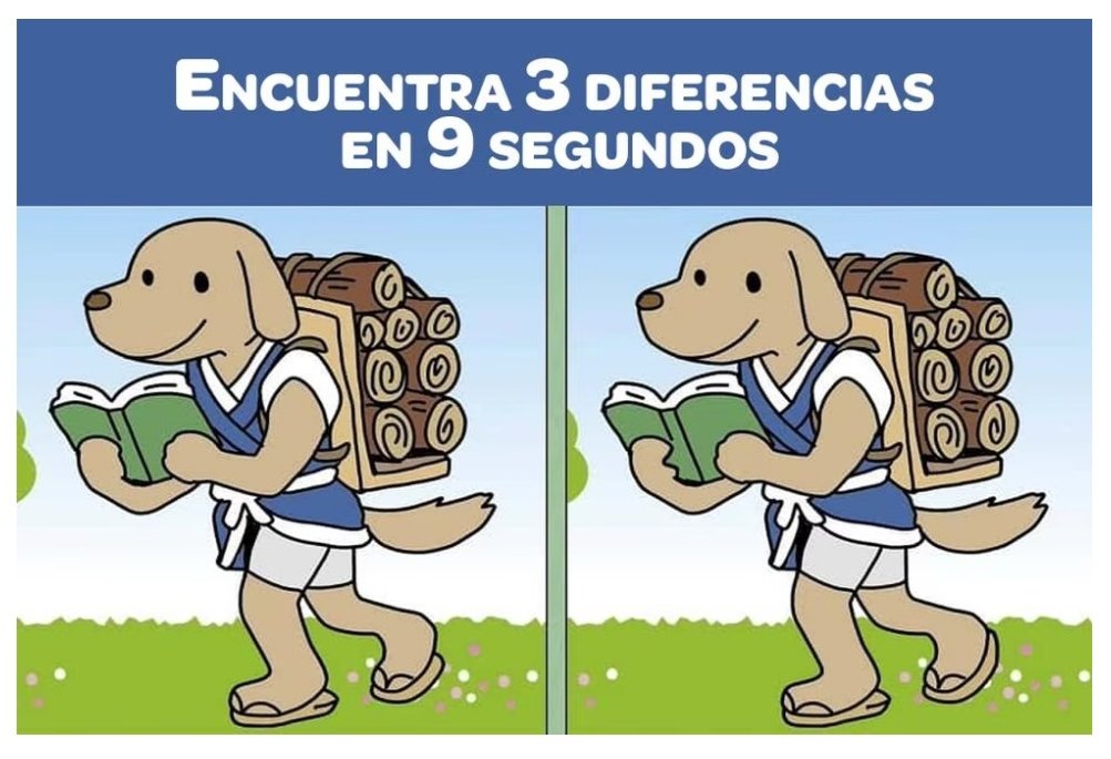 Dr. Alberto Blázquez tweet media