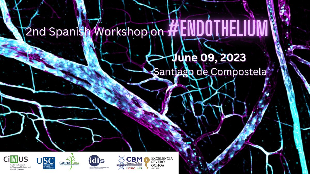 📢REMINDER📢
Just a few days left to submit your abstracts for the 2nd Spanish Workshop on #Endothelium

🗓️ Deadline abstracts submission: April, 21st
✍️Registration: from April, 3rd to May, 9th

Further info: workshopendothelium.com