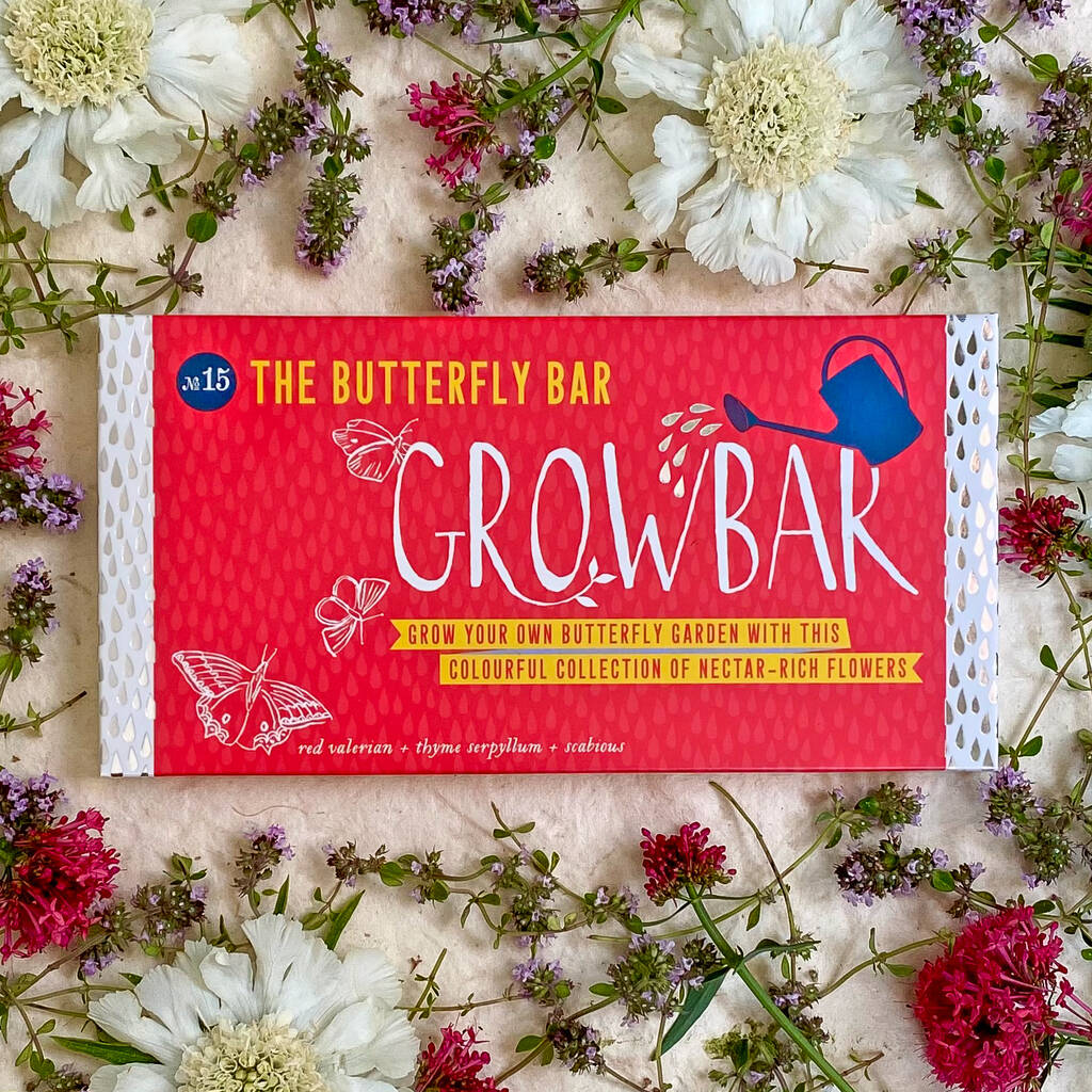 Now is the time to sow seeds for a dazzling display of summer flowers. Bring butterflies to your garden with this curated seed selection from Grow Bar. A simple and easy way to grow flowers and plants in your garden or windowsill. ethicalshop.org/flower-bars.ht… #butterflies #wildlife