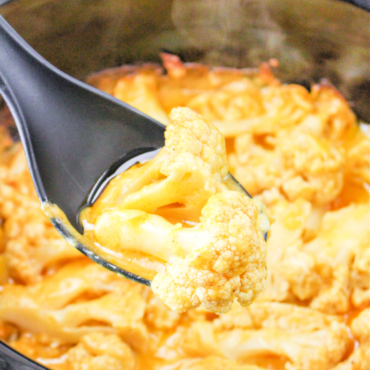 Juggling Act Mama (@jugglingactmama) on Twitter photo Slow Cooker Cauliflower loaded with cheese for an easy flavor-filled side dish for any dinner or party. This crock pot cauliflower is so easy to make and makes amazing leftovers too.
jugglingactmama.com/slow-cooker-ca… via <a href="/jugglingactmama/">Juggling Act Mama</a> Slow Cooker Cauliflower loaded with cheese for an easy flavor-filled side dish for any dinner or party. This crock pot cauliflower is so easy to make and makes amazing leftovers too.
jugglingactmama.com/slow-cooker-ca… via <a href="/jugglingactmama/">Juggling Act Mama</a>