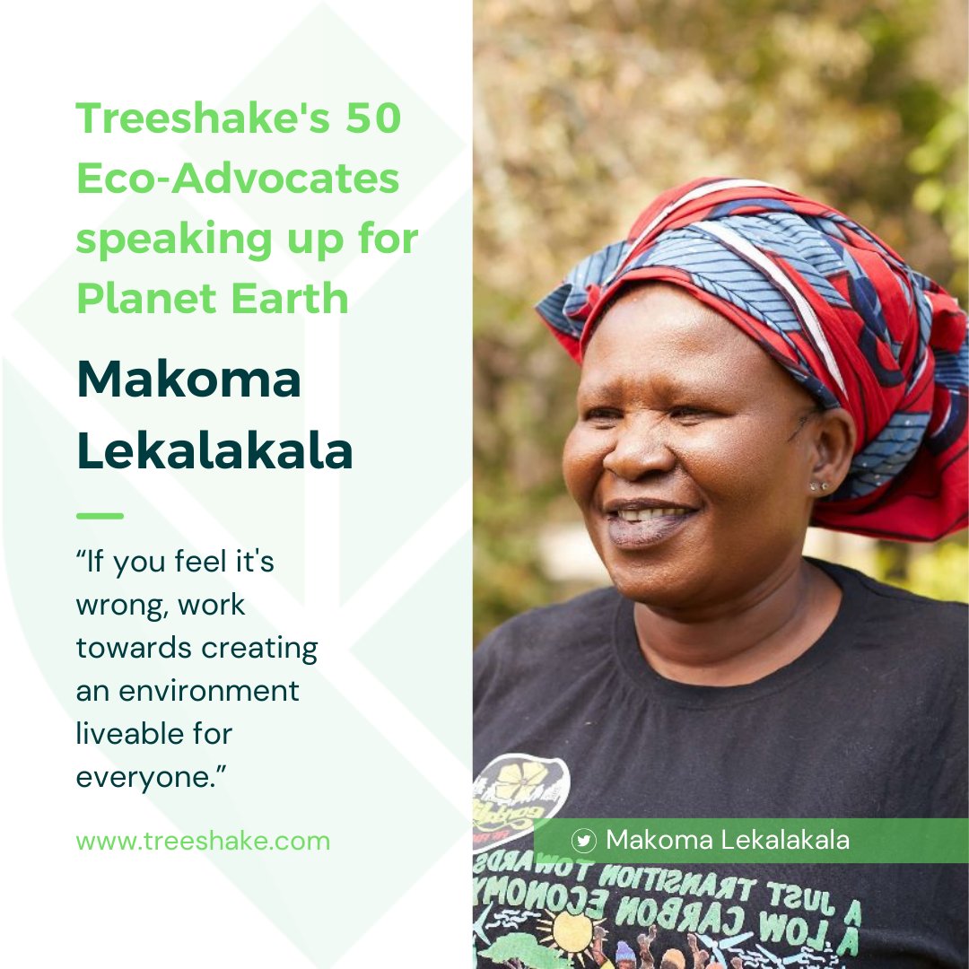 #ClimateActionNow #JustTransition #LeaveNoOneBehind #Light4defenders <a href="/treeshake/">Treeshake</a> <a href="/ClimateZA/">Presidential Climate Commission</a> <a href="/ThaboSibeko9/">Thabo Sibeko</a> <a href="/Klaasen_Bulelwa/">Bulelwa</a> @babdinor <a href="/kuminaidoo/">Kumi Naidoo</a>