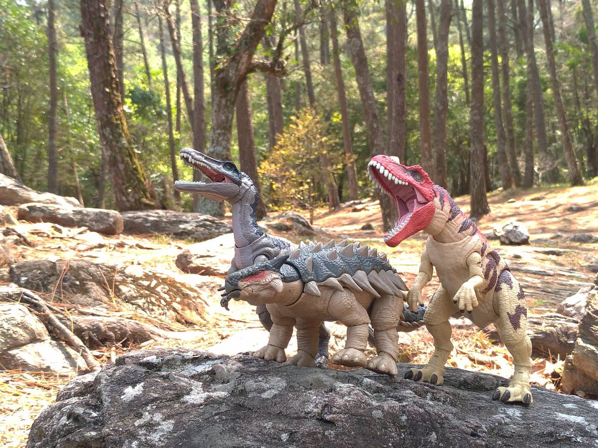 DinTyphoon's tweet photo. #恐竜の日 #Ceratosaurus #Ankylosaurus #Baryonyx https://t.co/m9DKmX7q78