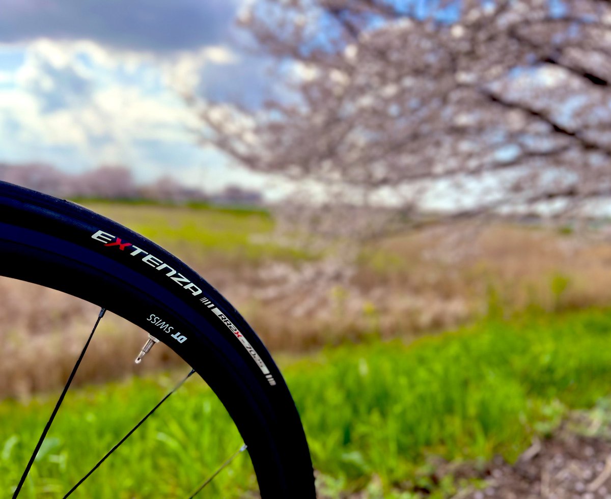 kaji_phone's tweet photo. 🌸さいくりんぐ🚲。
#サイクリング #ロードバイク #クロモリ #myアンカー #さいたま
#cycling #roadbike #RNC7 #bridgestoneanchor #anchorbikes #saitama https://t.co/vwlNhFXg8z
