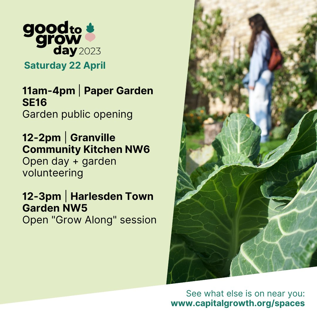 Capital Growth tweet media