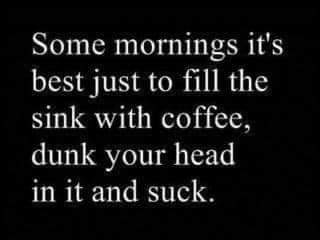 Good morning & happy Monday. Let the memories of your fabulous weekend carry you through this work day & drink lots of coffee. ☕😇☕