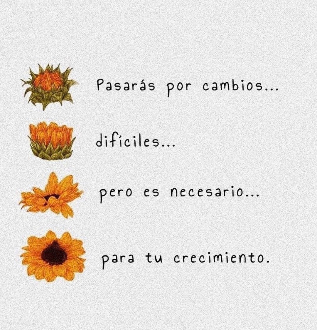 AnaMarGarMor's tweet photo. 🫶🏽🌻 https://t.co/Ho6qJ1IbLc