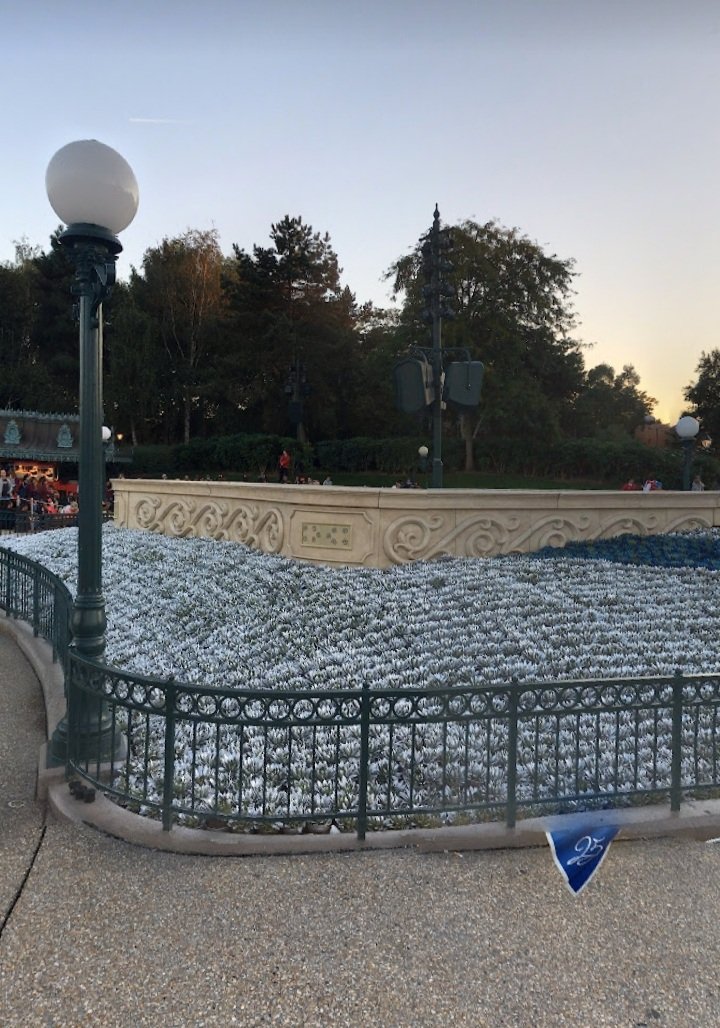 Charles (Jean) tweet media