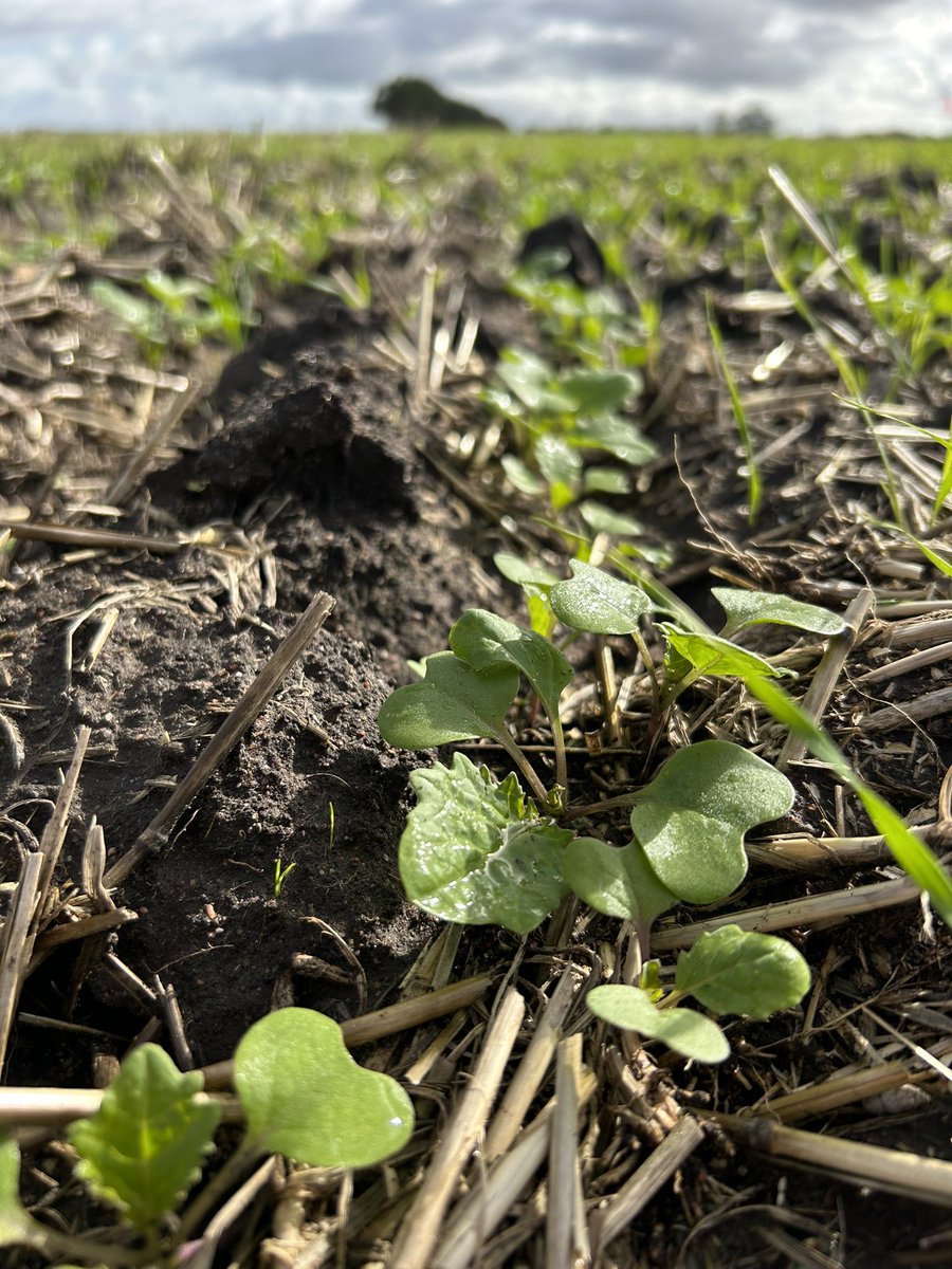 Justin Kudnig tweet media