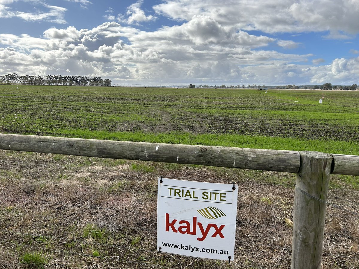 Justin Kudnig tweet media