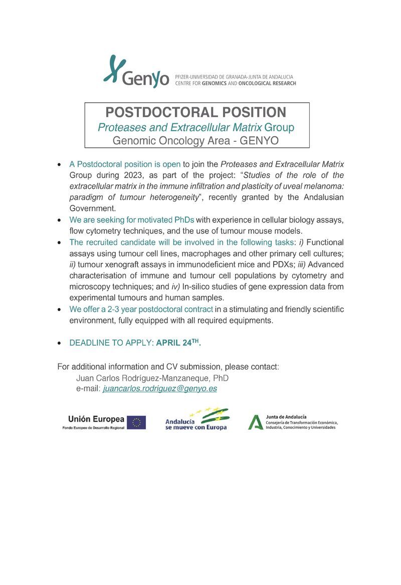 genyo_pts's tweet image. Os recordamos que el lunes 24 de abril acaba el plazo para presentarse a la plaza postdoctoral del grupo de investigación @eMatrixGENYO liderado por el Dr. Juan Carlos Rodríguez Manzaneque. 

#jobopportunities #postdoctoral #research