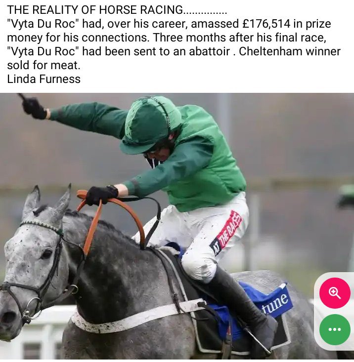 The dark side of the #Sport of Kings” #GrandNationalDisgrace