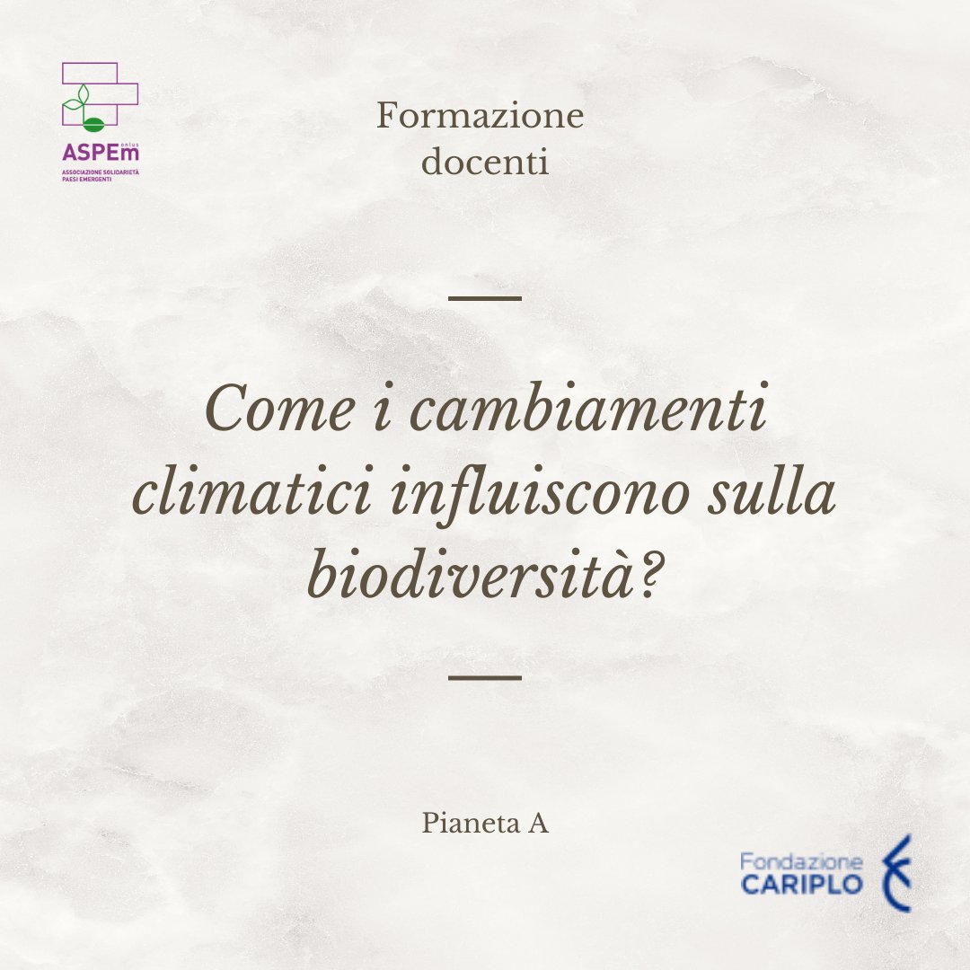 aspem's tweet photo. 🌎Nell’ambito del progetto “Pianeta A- Competenze didattiche e kid science per la transizione ecologica” continuano le formazioni rivolte ai docenti, oltre alle attività all’interno delle classi!
👩‍🏫Alcuni degli incontri proposti hanno approfondito la tematica della biodiversità. https://t.co/kGMCtwfFUe
