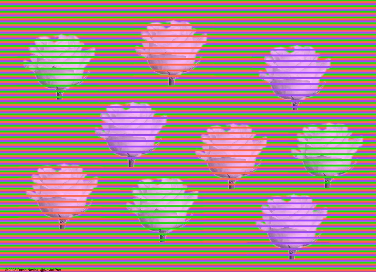 David Novick tweet media